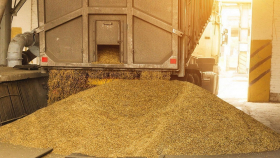 В АККОР отметили низкие цены на зерно